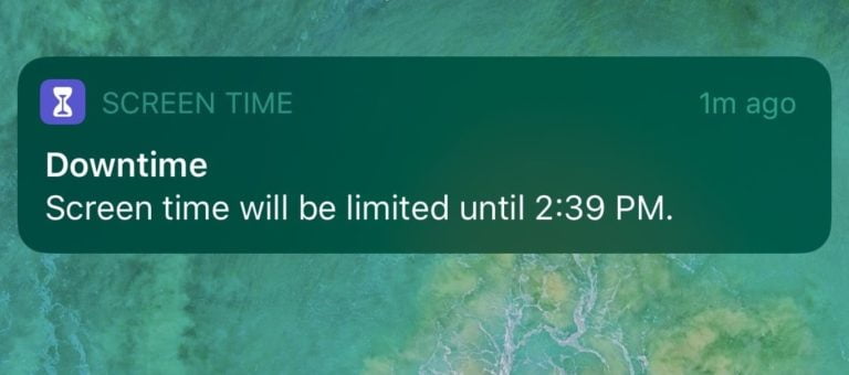 screen time downtime screenshot
