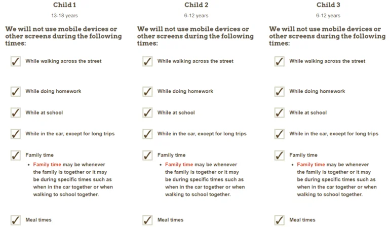 Academy of Pediatrics family media plan screenshot