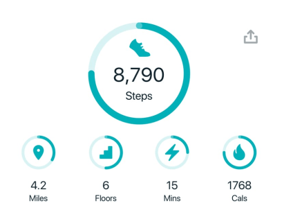 digital goals graphic fitbit example