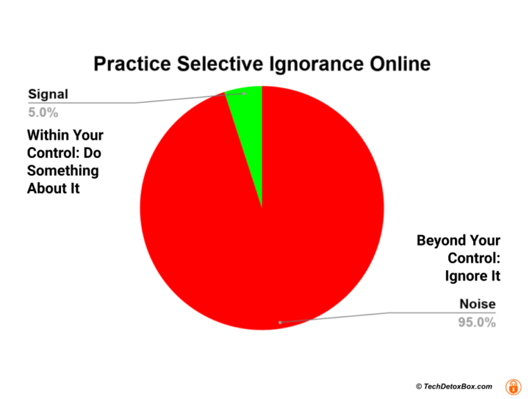 selective ignorance for digital wellbeing techdetoxbox.com