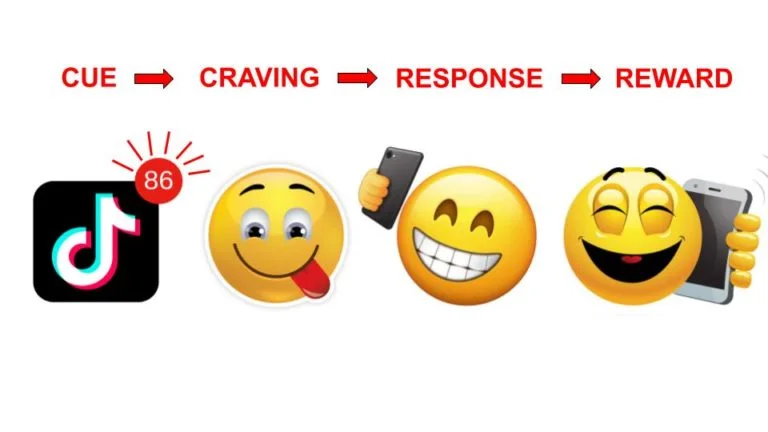 habit formation loop